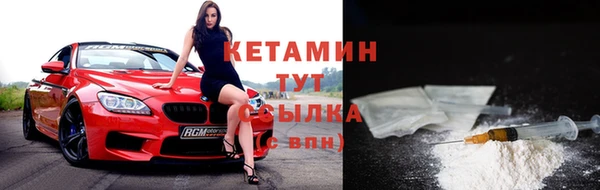 шишки Елизово