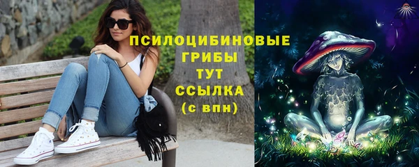 прущая мука Арсеньев
