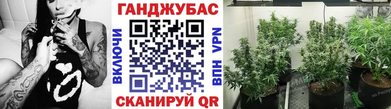 где купить   Калязин  площадка состав  Бошки марихуана тримм 